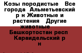 Козы породистые - Все города, Альметьевский р-н Животные и растения » Другие животные   . Башкортостан респ.,Караидельский р-н